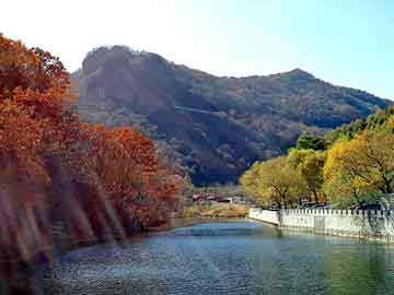 澳门二四六天天免费好材料，丽婷野葛根怎么样